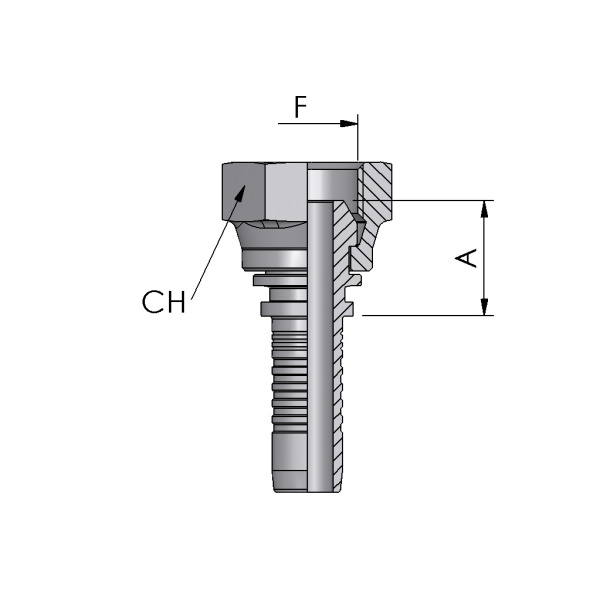 BSP Female Straight