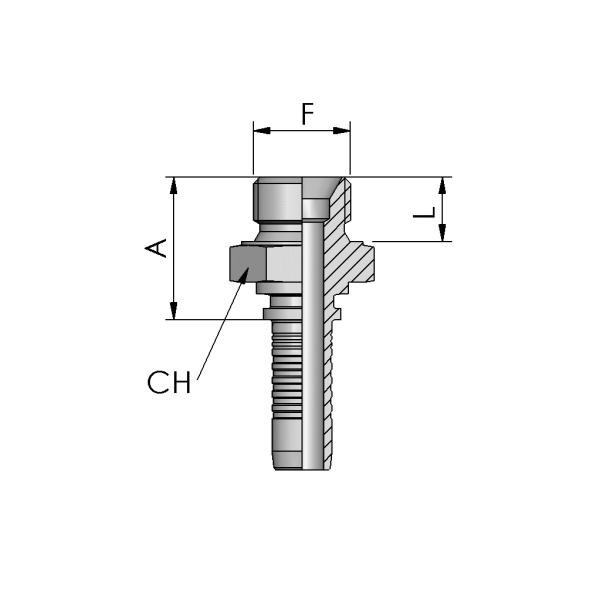 BSPP MALE, 60° CONE