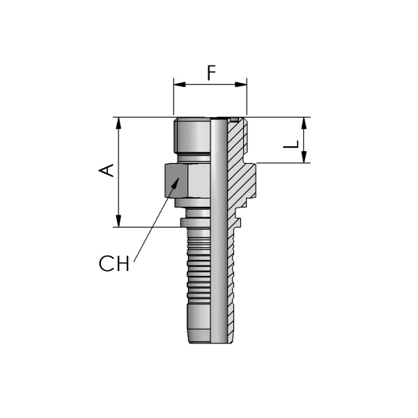 ORFS MALE STRAIGHT